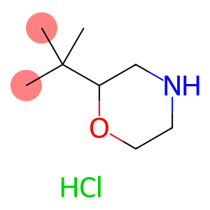 2-叔-丁基吗啉盐酸