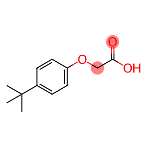 4-tert-Butylphenoxyacetic acid