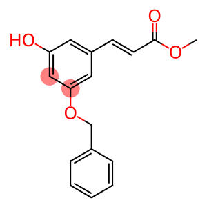 3-Benzyloxy-5-hydroxyphenylpropenoic Acid Methyl Ester