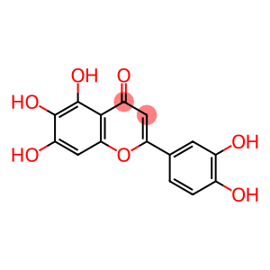 6-羟基木犀草素