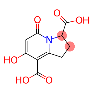 7-Hydroxy-5-Oxo-1,2,3,5-Tetrahydroindolizine-3,8-Dicarboxylic Acid