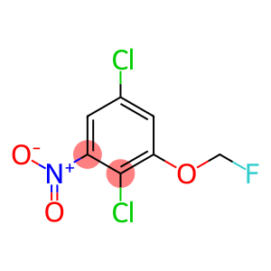 Benzene, 2,5-dichloro-1-(fluoromethoxy)-3-nitro-