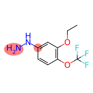 1-(3-Ethoxy-4-(trifluoromethoxy)phenyl)hydrazine