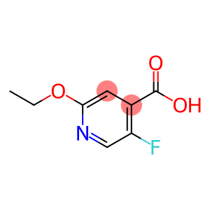 2-ETHOXY-5-FLUOROISONICOTINIC ACID