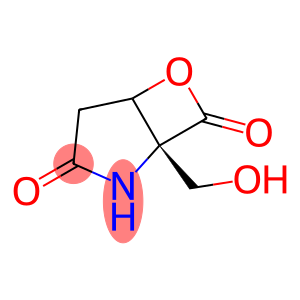 6-Oxa-2-azabicyclo[3.2.0]heptane-3,7-dione,1-(hydroxymethyl)-,(1R)-(9CI)