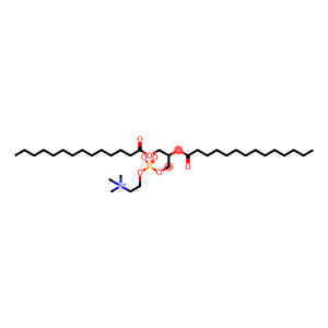 1,2-二十四酰-RAC-GLYCERO-3-磷酸胆碱