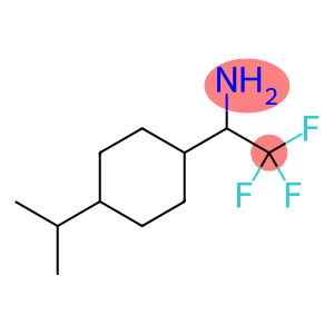 2,2,2-三氟-1-(4-异丙基环己基)乙-1-胺