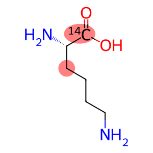 L-LYSINE, [14C(U)]-