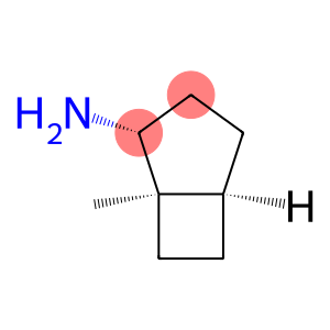 Bicyclo[3.2.0]heptan-2-amine, 1-methyl-, (1alpha,2alpha,5alpha)- (9CI)