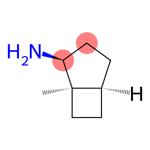 Bicyclo[3.2.0]heptan-2-amine, 1-methyl-, (1alpha,2beta,5alpha)- (9CI)