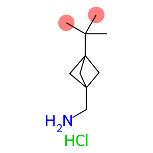 1-{3-tert-butylbicyclo[1.1.1]pentan-1-yl}methanamine hydrochloride