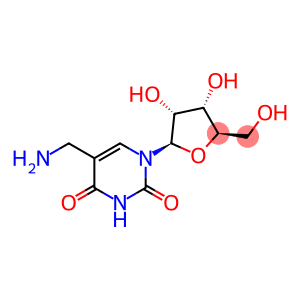 5-Aminomethyluridine