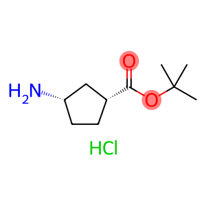 (1R,3S)-3-氨基环戊酸叔丁酯盐酸盐