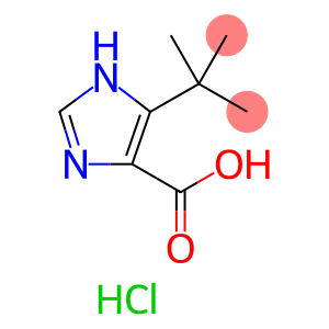 4-(叔丁基)-1H-咪唑-5-羧酸(盐酸盐)