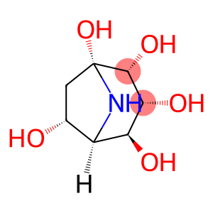 Calystegine C2