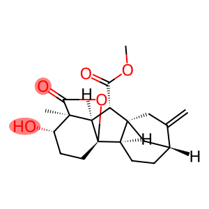 赤霉素A4甲酯