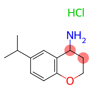 6-(PROPAN-2-YL)-3,4-DIHYDRO-2H-1-BENZOPYRAN-4-AMINE HYDROCHLORIDE