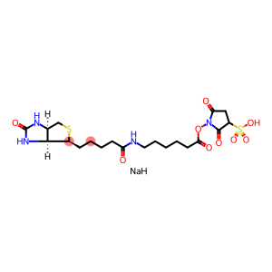 生物素化-EPSILON-氨基己酸-N-羟基磺基丁二酰亚胺活化酯