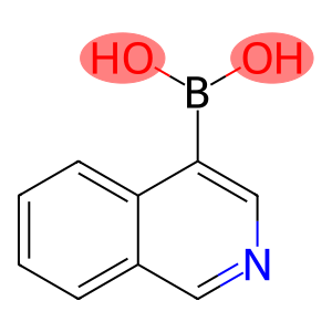 4-异喹啉硼酸