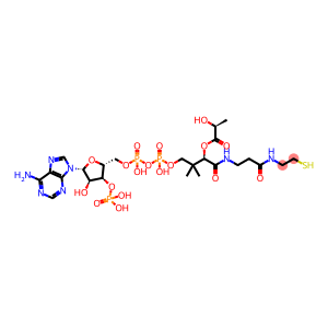 [(2R,3R,4R,5R)-5-(6-aminopurin-9-yl)-4-hydroxy-2-[[hydroxy-[hydroxy-[(3R)-3-hydroxy-3-[2-[2-(2-hydroxypropanoylsulfanyl)ethylcarbamoyl]ethylcarbamoyl]-2,2-dimethyl-propoxy]phosphoryl]oxy-phosphoryl]oxymethyl]oxolan-3-yl]oxyphosphonic acid