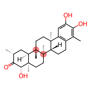 regeol A