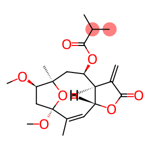 1Β-甲氧基五味子叶素3-O-甲醚