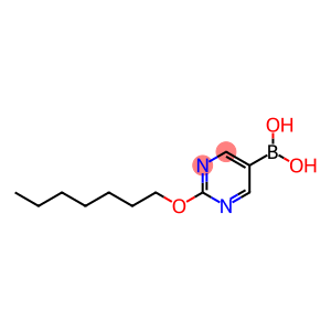 2-庚氧基嘧啶-5-硼酸