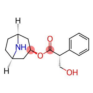 AtropineImpurity13