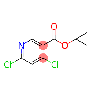 TERT-BUTYL 4,6-DICHLORONICOTINATE