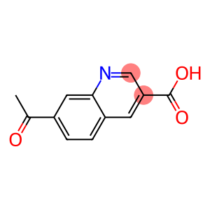 7-乙酰基喹啉-3-羧酸