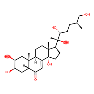 25S-Inokosterone