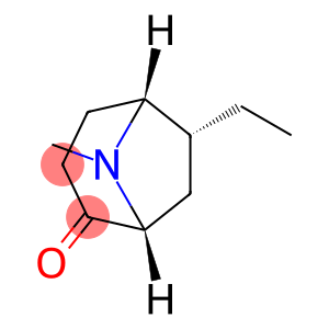 8-Azabicyclo[3.2.1]octan-2-one,6-ethyl-8-methyl-,(1R,5R,6R)-rel-(9CI)