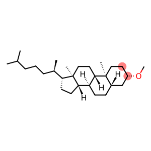 Methyl 5α-cholestan-3β-yl ether