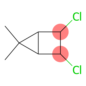 Bicyclo[2.1.0]pentane, 2,3-dichloro-5,5-dimethyl-, endo,endo- (8CI)