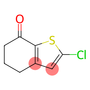 2-氯-5,6-二氢苯并[b]噻吩-7(4H)-酮