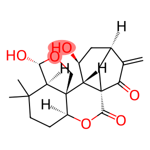 13-Deoxy-5α-hydroxyenmein