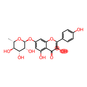 Kaempferol 7-O-rhamnoside