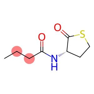 N-BUTYRYL-L-HOMOCYSTEINE THIOLACTONE