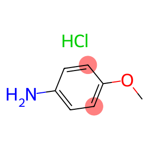 p-aminoanisolehydrochloride