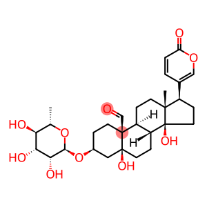 3β-(α-L-Rhamnopyranosyloxy)-5,14-dihydroxy-19-oxo-5β-bufa-20,22-dienolide