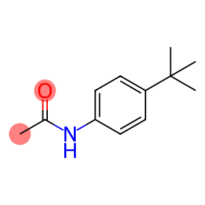 4-叔丁基乙酰苯胺