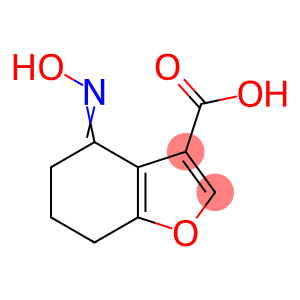 3-Benzofurancarboxylicacid,4,5,6,7-tetrahydro-4-(hydroxyimino)-(9CI)