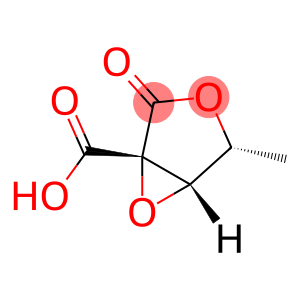 D-Lyxonic acid, 2,3-anhydro-2-C-carboxy-5-deoxy-, 1,4-lactone (9CI)