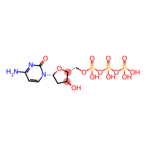 Deoxycytidine triphosphate (dCTP)