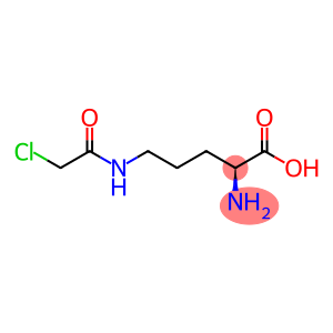 L-Ornithine, N5-(2-chloroacetyl)-