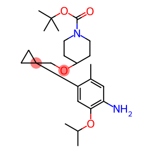 tert-butyl 4-((1-(4-amino-5-isopropoxy-2-methylphenyl)cyclopropyl)methoxy)piperidine-1-carboxylate