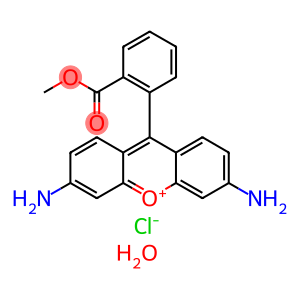 RHODAMINE 123 HYDRATE