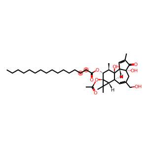 12-O-hexadecanoylphorbol-13-acetate