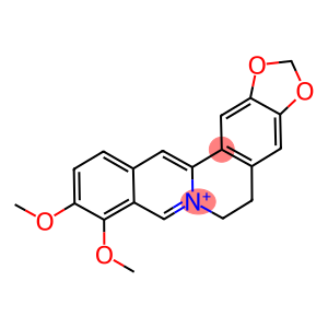 LABOTEST-BB LT00440956