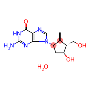 恩替卡韦一水合物, 核苷类似物,能抑制逆转录